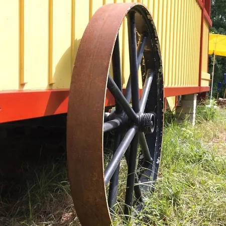 Zigappo Classique * Lychen